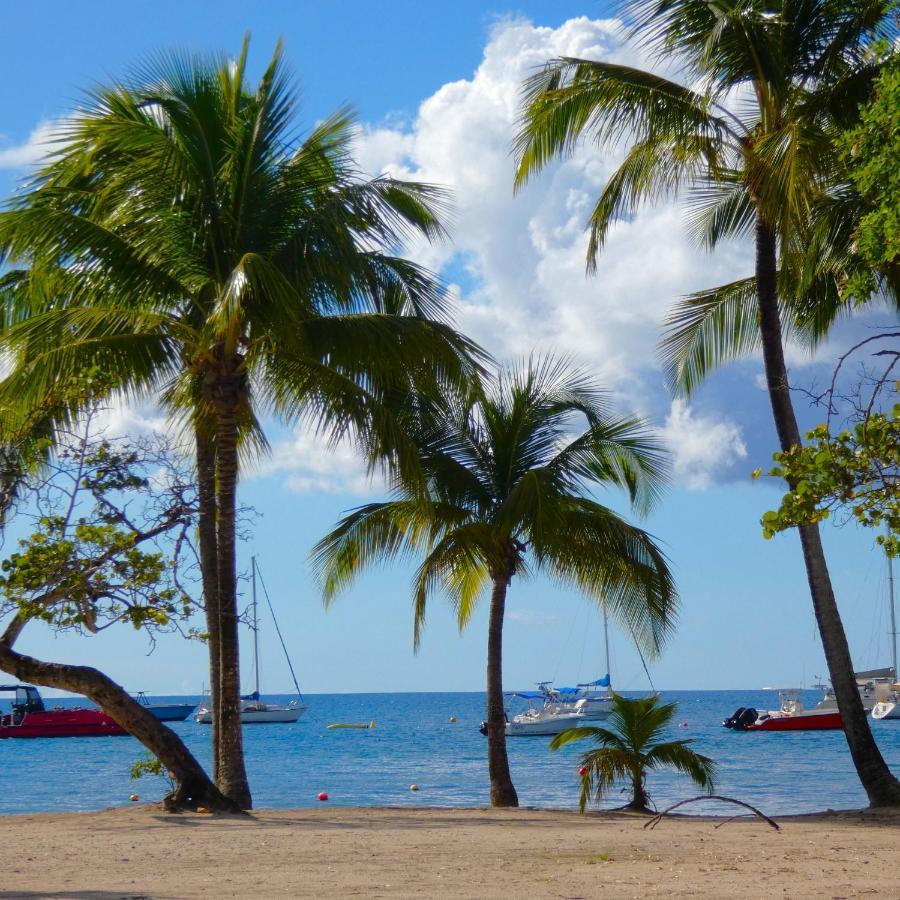 La Plage - Mer Des Caraibes A 30M Les Trois-Ilets Exterior foto